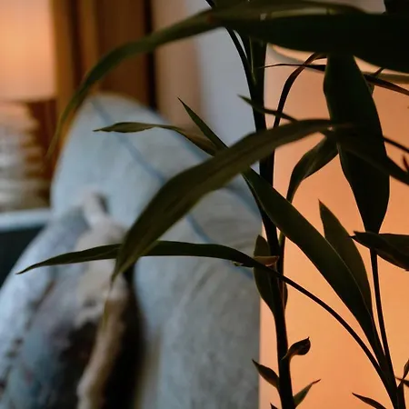 Brera Cosy Design Διαμέρισμα *